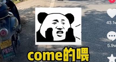 come的喂梗意思介紹