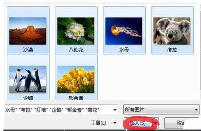 PowerPoint Viewer批量導(dǎo)入照片的詳細(xì)操作步驟截圖