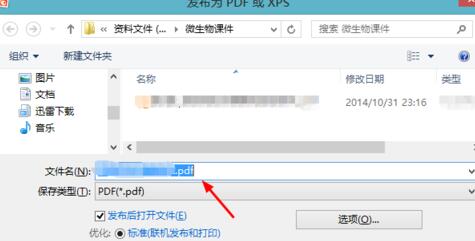 office2007將ppt轉(zhuǎn)為pdf格式的圖文步驟截圖