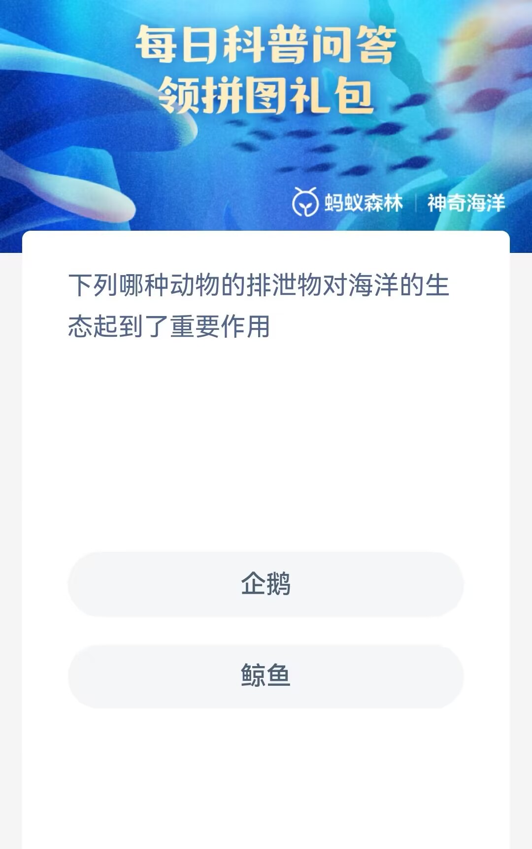 《支付寶》神奇海洋科普6月13日答案2023