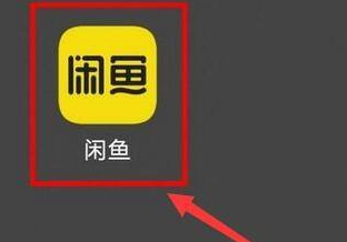 閑魚如何查看閑魚幣獲取記錄？閑魚查看閑魚幣獲取記錄明細(xì)圖文教程圖片1